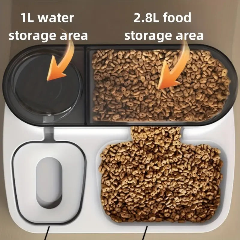 Distributore automatico di cibo e acqua per gatti